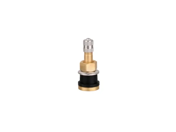 Lastbils ventil TR501